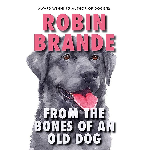 From the Bones of an Old Dog, Robin Brande