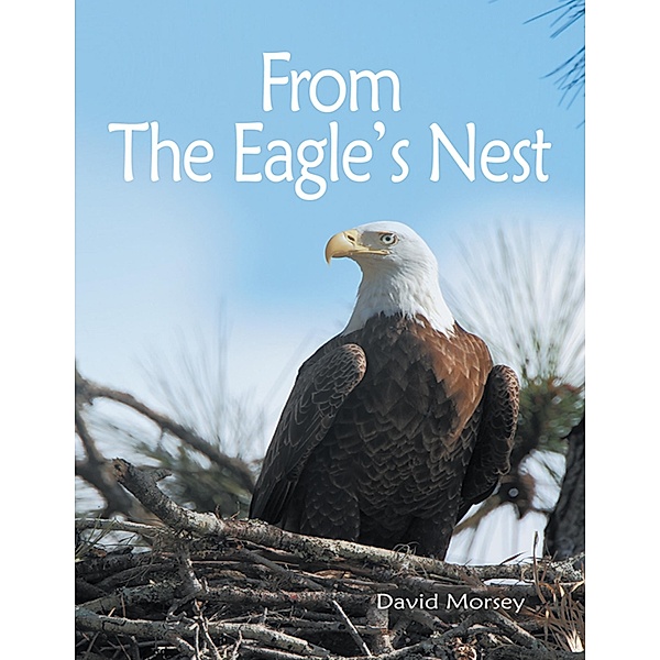 From the Eagle's Nest, David Morsey