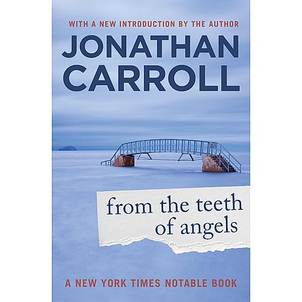 From the Teeth of Angels, Jonathan Carroll