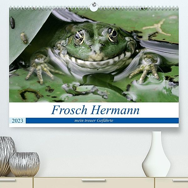 Frosch Hermann, mein treuer Gefährte. (Premium, hochwertiger DIN A2 Wandkalender 2023, Kunstdruck in Hochglanz), Rufotos