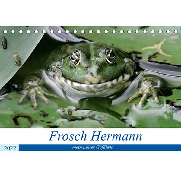 Frosch Hermann, mein treuer Gefährte. (Tischkalender 2022 DIN A5 quer), Rufotos