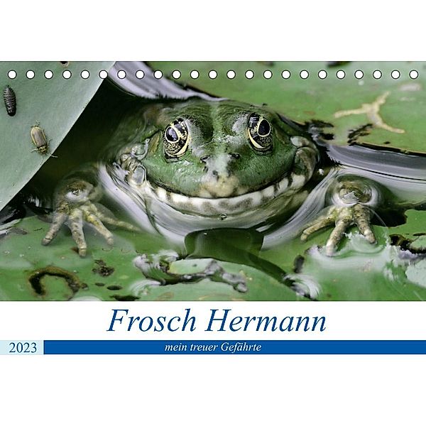 Frosch Hermann, mein treuer Gefährte. (Tischkalender 2023 DIN A5 quer), Rufotos