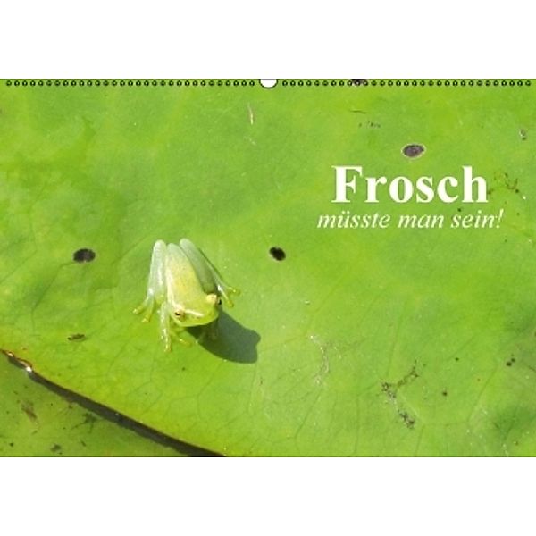 Frosch müsste man sein! (Wandkalender 2016 DIN A2 quer), Elisabeth Stanzer