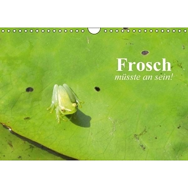 Frosch müsste man sein! (Wandkalender 2016 DIN A4 quer), Elisabeth Stanzer