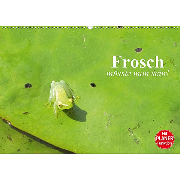 Frosch müsste man sein! (Wandkalender 2019 DIN A2 quer), Elisabeth Stanzer