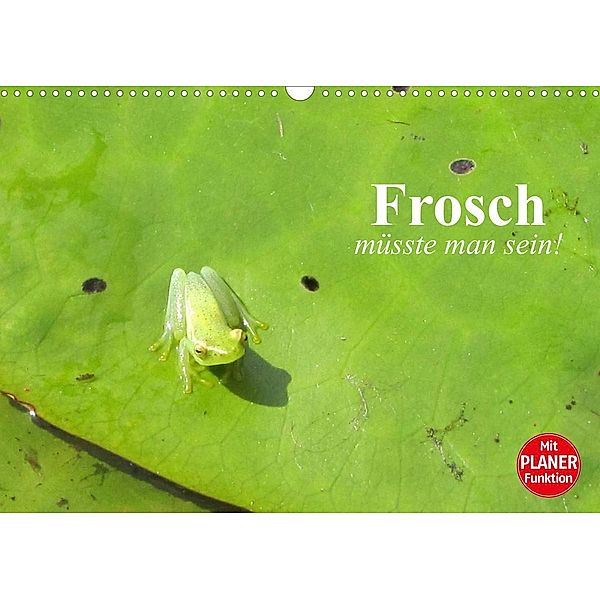 Frosch müsste man sein! (Wandkalender 2023 DIN A3 quer), Elisabeth Stanzer