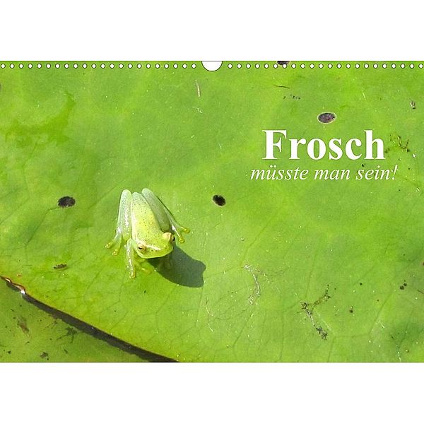 Frosch müsste man sein! (Wandkalender 2023 DIN A3 quer), Elisabeth Stanzer