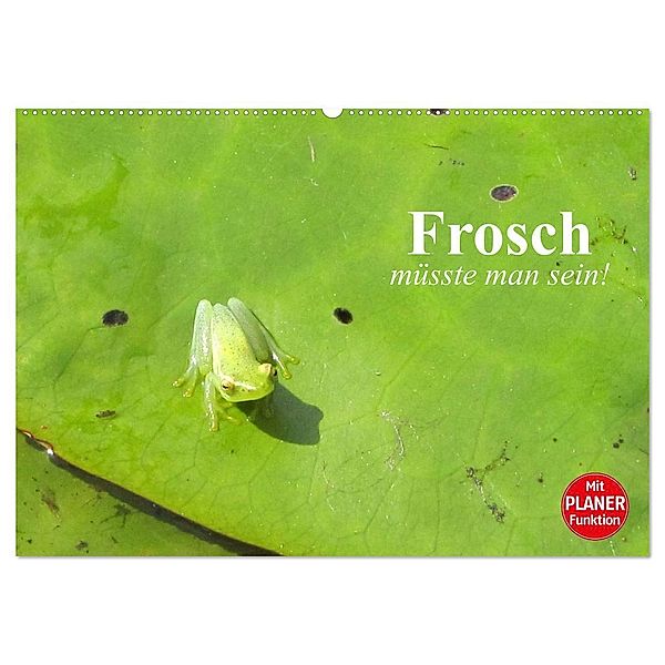 Frosch müsste man sein! (Wandkalender 2024 DIN A2 quer), CALVENDO Monatskalender, Elisabeth Stanzer