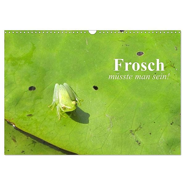 Frosch müsste man sein! (Wandkalender 2024 DIN A3 quer), CALVENDO Monatskalender, Elisabeth Stanzer