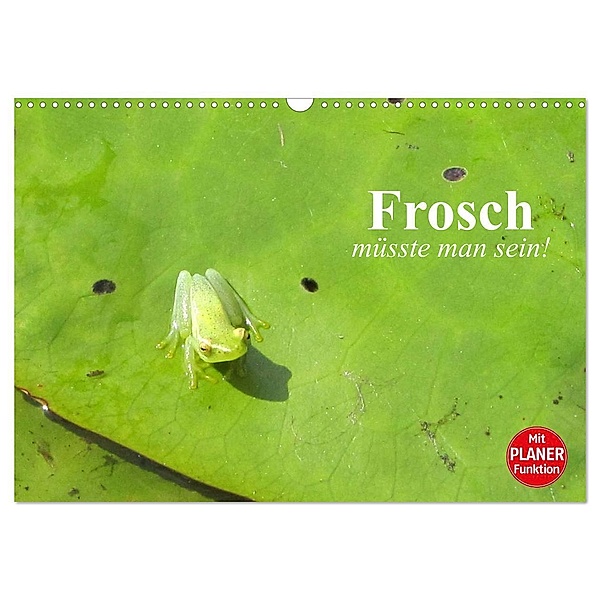 Frosch müsste man sein! (Wandkalender 2024 DIN A3 quer), CALVENDO Monatskalender, Elisabeth Stanzer