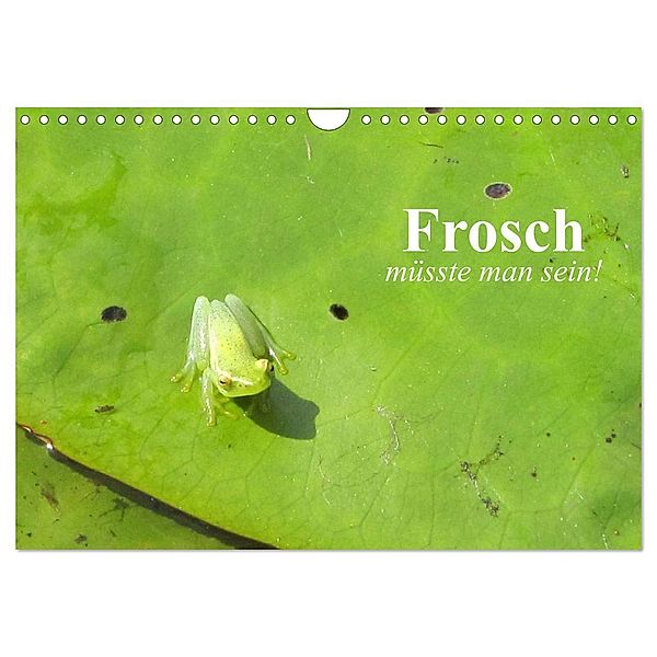 Frosch müsste man sein! (Wandkalender 2024 DIN A4 quer), CALVENDO Monatskalender, Elisabeth Stanzer