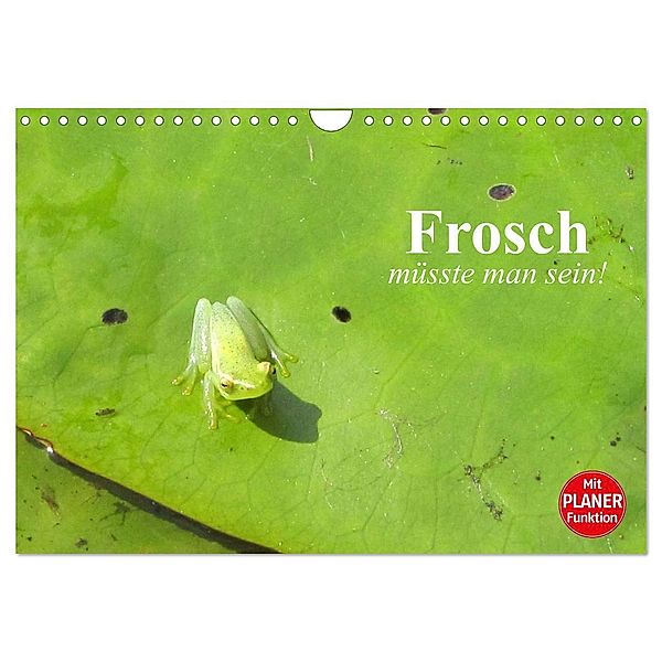 Frosch müsste man sein! (Wandkalender 2024 DIN A4 quer), CALVENDO Monatskalender, Elisabeth Stanzer