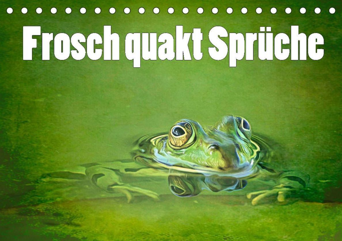 Frosch quakt Sprüche Tischkalender 2024 DIN A5 quer, CALVENDO  Monatskalender - Kalender bestellen