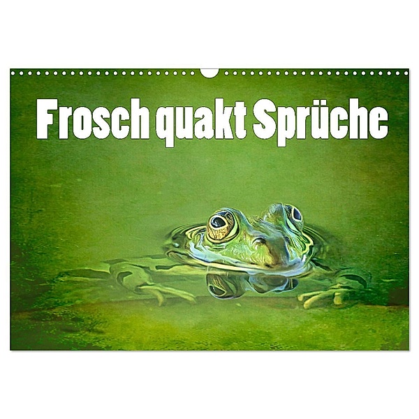Frosch quakt Sprüche (Wandkalender 2025 DIN A3 quer), CALVENDO Monatskalender, Calvendo, Liselotte Brunner-Klaus