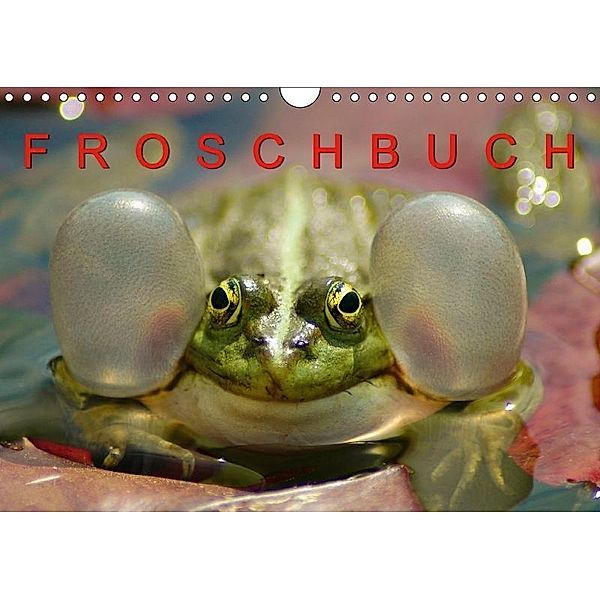 FROSCHBUCH (Wandkalender 2017 DIN A4 quer), Bogna Mazunov