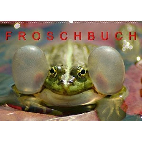 FROSCHBUCH (Wandkalender 2020 DIN A2 quer), Bogna Mazunov