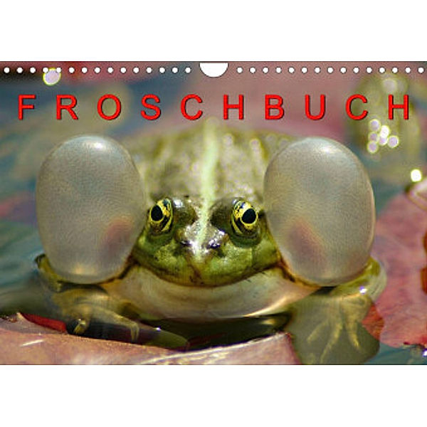 FROSCHBUCH (Wandkalender 2022 DIN A4 quer), Bogna Mazunov
