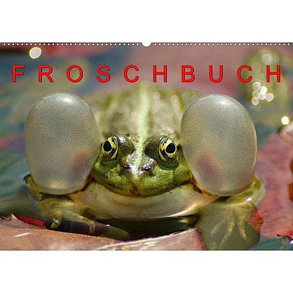 FROSCHBUCH (Wandkalender 2023 DIN A2 quer), Bogna Mazunov