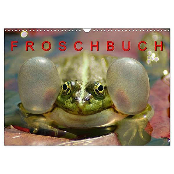 FROSCHBUCH (Wandkalender 2024 DIN A3 quer), CALVENDO Monatskalender, Bogna Mazunov