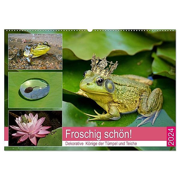 Froschig schön! Dekorative Könige der Tümpel und Teiche (Wandkalender 2024 DIN A2 quer), CALVENDO Monatskalender, Rose Hurley