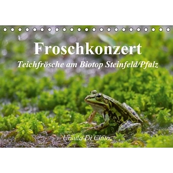 Froschkonzert (Tischkalender 2016 DIN A5 quer), Ursula Di Chito