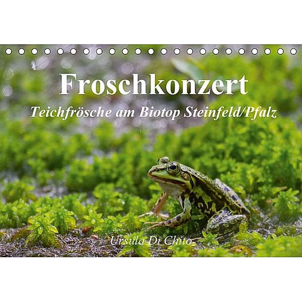Froschkonzert (Tischkalender 2018 DIN A5 quer), Ursula Di Chito