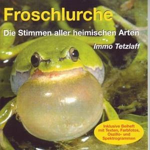 Froschlurche, Immo Tetzlaff