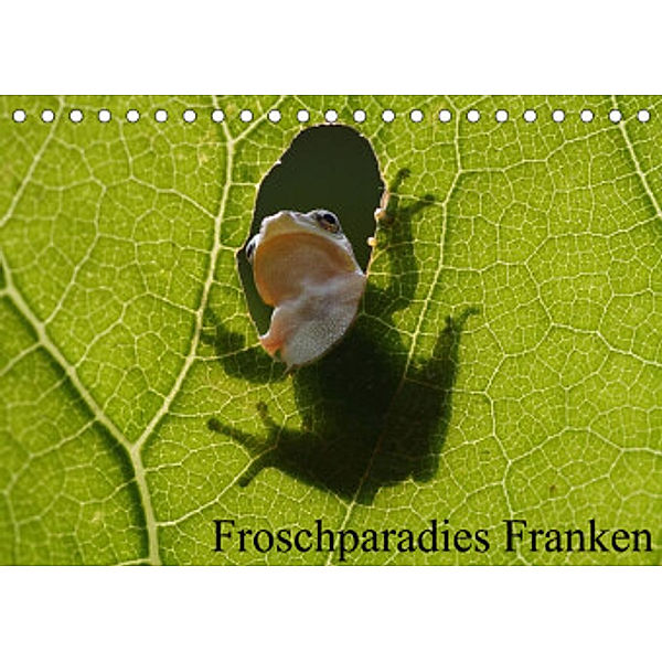 Froschparadies Franken (Tischkalender 2022 DIN A5 quer), Günter Bachmeier