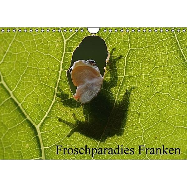 Froschparadies Franken (Wandkalender 2016 DIN A4 quer), Günter Bachmeier