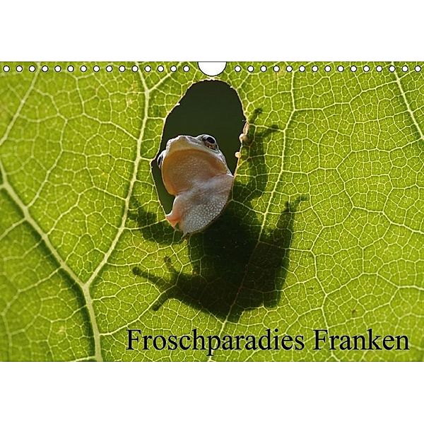 Froschparadies Franken (Wandkalender 2017 DIN A4 quer), Günter Bachmeier
