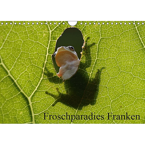 Froschparadies Franken (Wandkalender 2019 DIN A4 quer), Günter Bachmeier