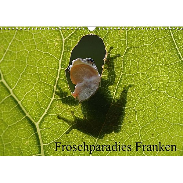 Froschparadies Franken (Wandkalender 2021 DIN A3 quer), Günter Bachmeier