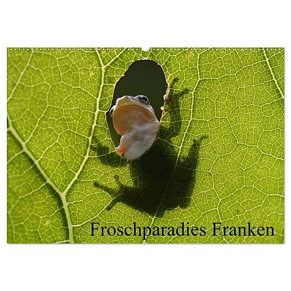 Froschparadies Franken (Wandkalender 2024 DIN A2 quer), CALVENDO Monatskalender, Günter Bachmeier