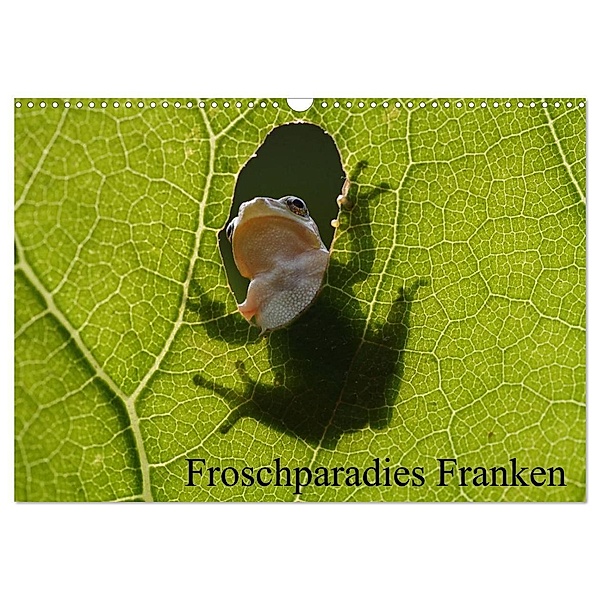 Froschparadies Franken (Wandkalender 2024 DIN A3 quer), CALVENDO Monatskalender, Günter Bachmeier