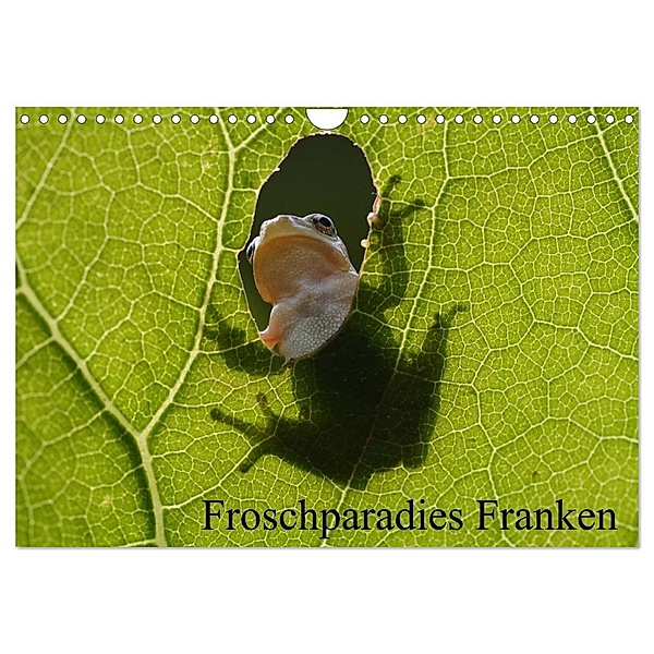 Froschparadies Franken (Wandkalender 2024 DIN A4 quer), CALVENDO Monatskalender, Günter Bachmeier