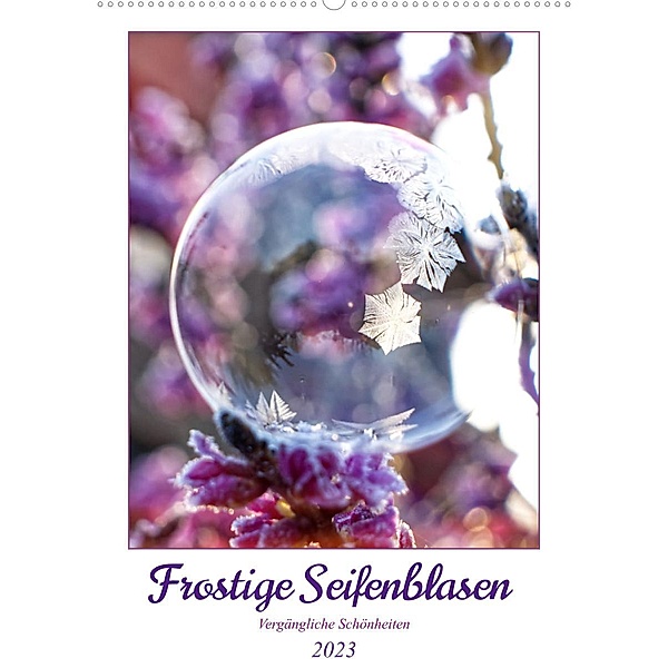 Frostige Seifenblasen (Wandkalender 2023 DIN A2 hoch), Sabine Löwer