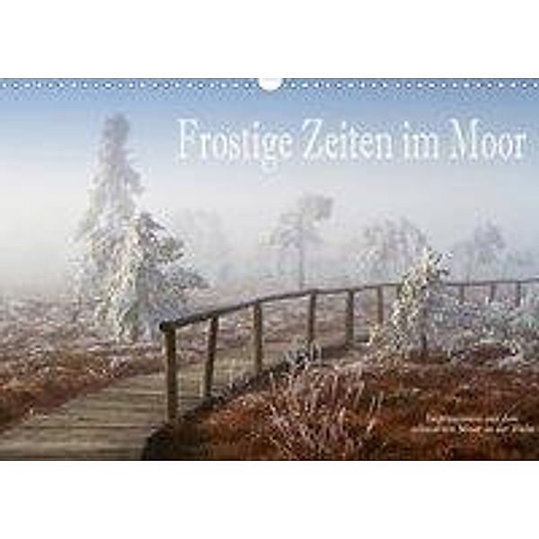 Frostige Zeiten im Moor - Impressionen aus dem schwarzen Moor in der Rhön (Wandkalender 2020 DIN A3 quer), Hans Pfleger