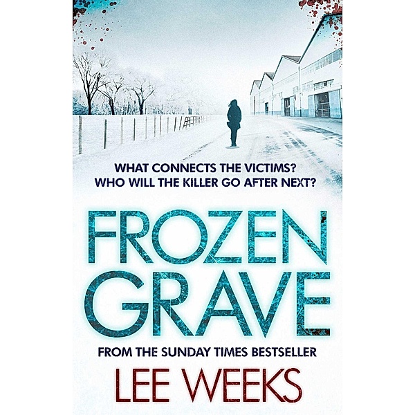 Frozen Grave / DC Ebony Willis Bd.3, Lee Weeks