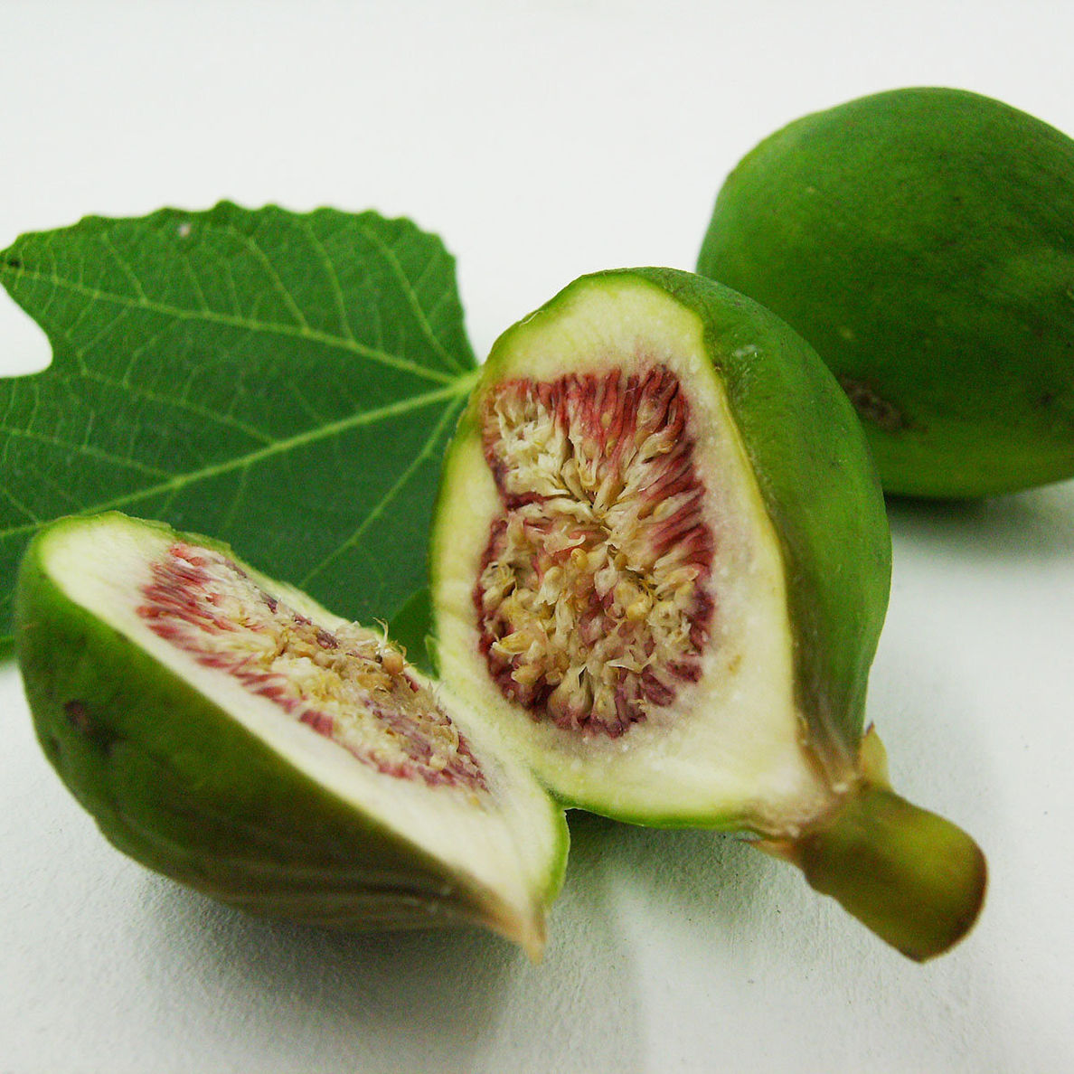 Frucht-Feigenbaum im 24 cm-Topf jetzt bei Weltbild.de bestellen