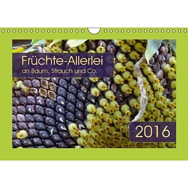 Früchte-Allerlei an Baum, Strauch und Co. (Wandkalender 2016 DIN A4 quer), Angelika Keller
