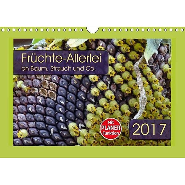 Früchte-Allerlei an Baum, Strauch und Co. (Wandkalender 2017 DIN A4 quer), Angelika Keller