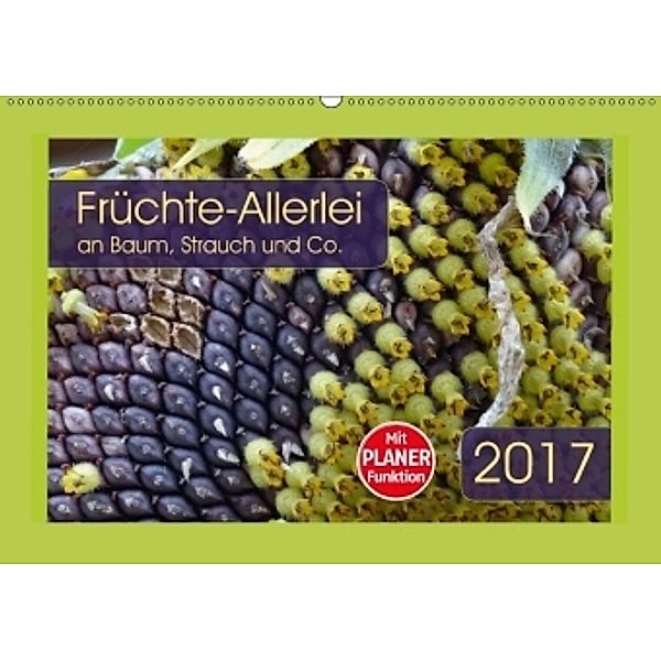 Früchte-Allerlei an Baum, Strauch und Co. (Wandkalender 2017 DIN A2 quer), Angelika Keller