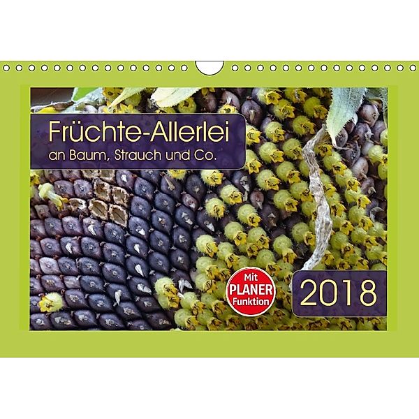 Früchte-Allerlei an Baum, Strauch und Co. (Wandkalender 2018 DIN A4 quer) Dieser erfolgreiche Kalender wurde dieses Jahr, Angelika Keller