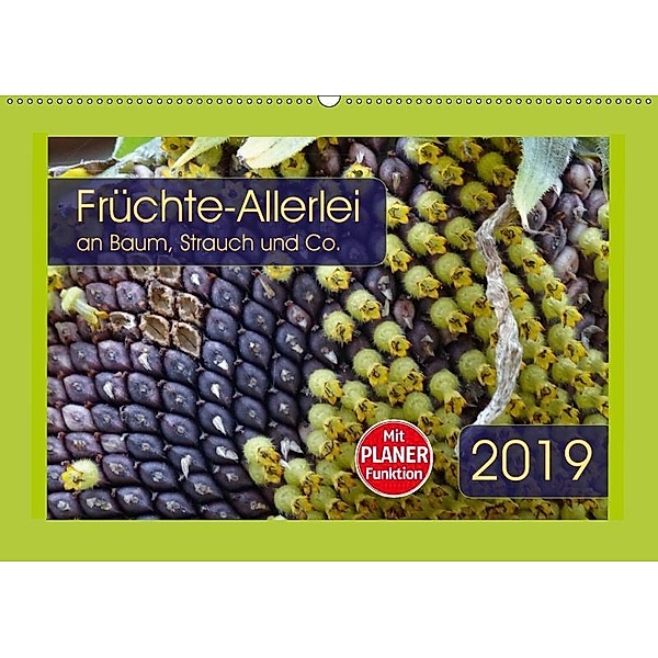 Früchte-Allerlei an Baum, Strauch und Co. (Wandkalender 2019 DIN A2 quer), Angelika Keller