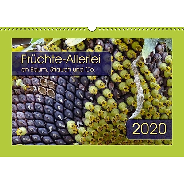 Früchte-Allerlei an Baum, Strauch und Co. (Wandkalender 2020 DIN A3 quer), Angelika Keller