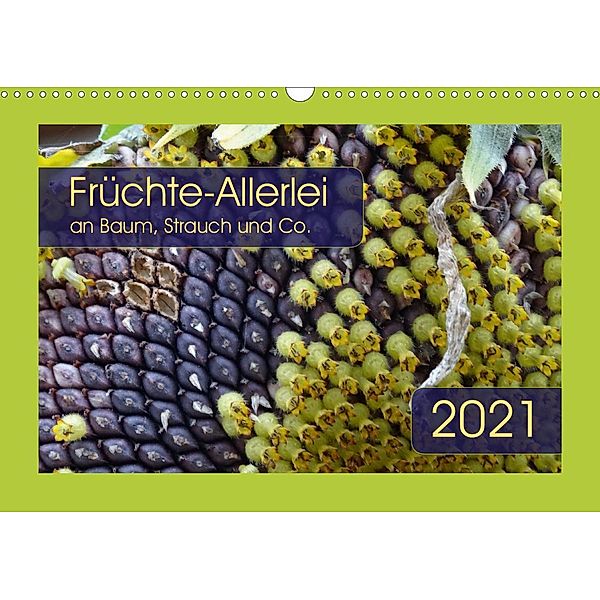 Früchte-Allerlei an Baum, Strauch und Co. (Wandkalender 2021 DIN A3 quer), Angelika Keller