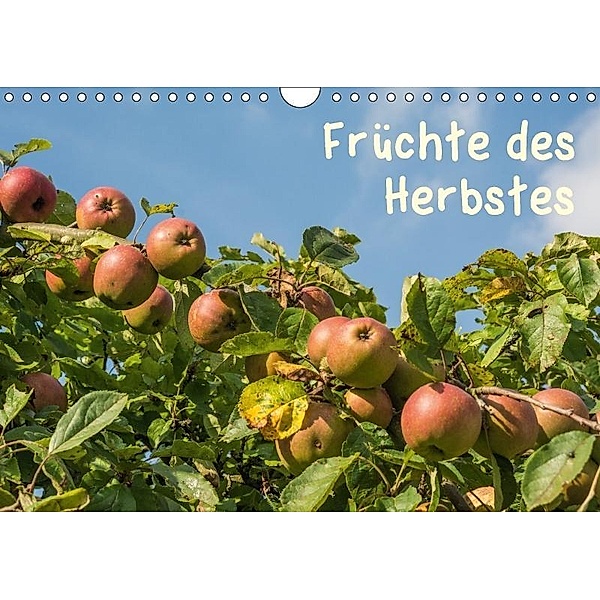 Früchte des Herbstes (Wandkalender 2017 DIN A4 quer), Hans Seidl