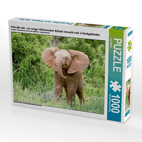 Früh übt sich - ein Junger Afrikanischer Elefant versucht sich in Drohgebärden (Puzzle), Calvendo