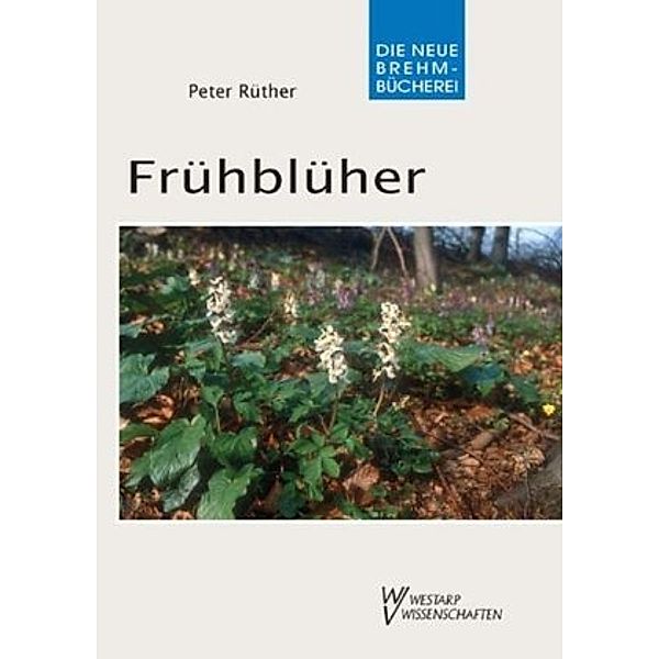 Frühblüher, Peter Rüther