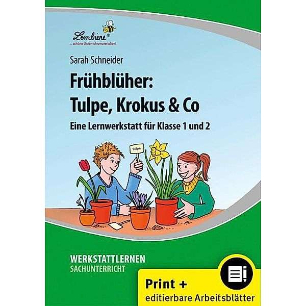 Frühblüher: Tulpe, Krokus & Co, Sarah Schneider
